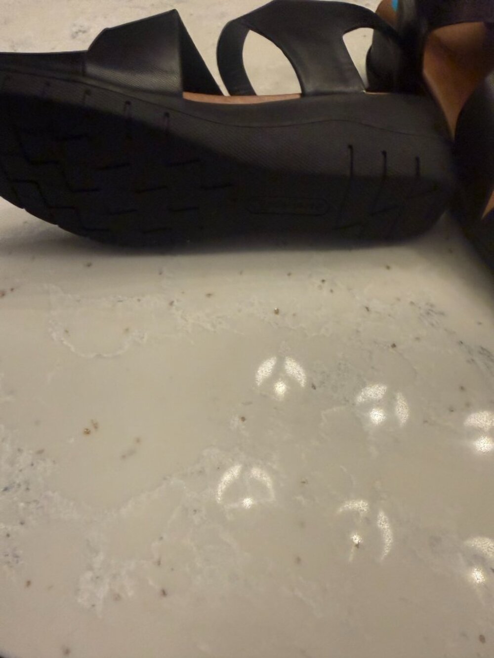 Baretraps Caley Black Strappy Wedge Sandals Size 7.5 NWOT - Picture 3 of 4